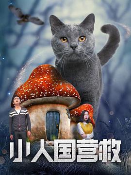 男生操女生视频在线观看