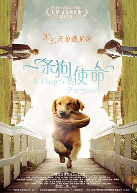 国产精品久久杨幂