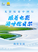 夜夜草视频